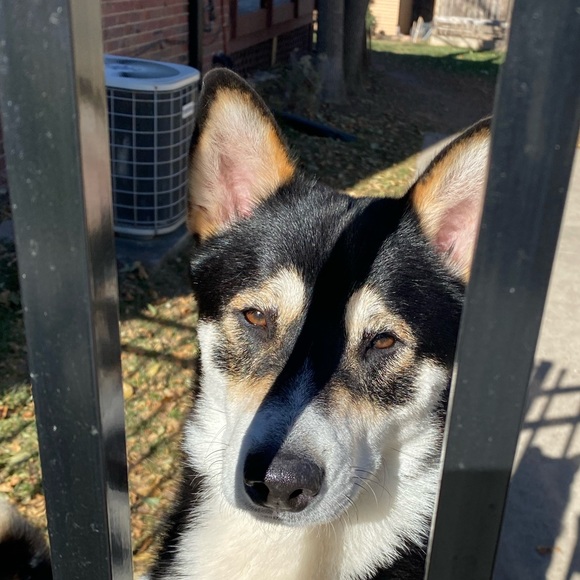 Meet your Posher, Jasmine - Picture 6 of 7